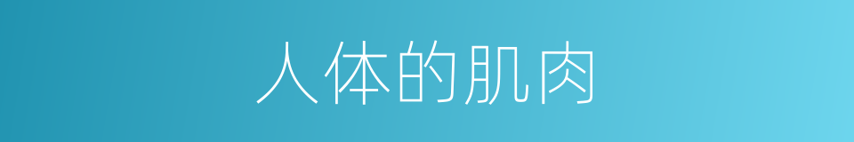 人体的肌肉的同义词