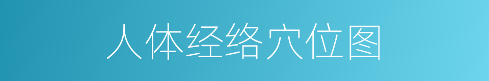 人体经络穴位图的同义词