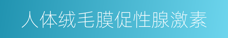 人体绒毛膜促性腺激素的同义词