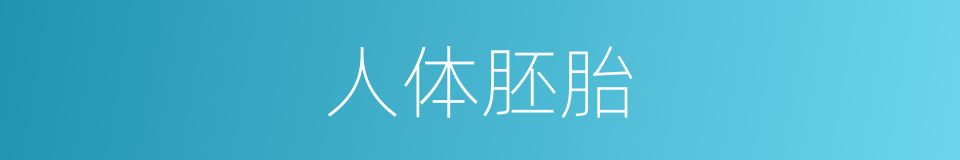 人体胚胎的同义词
