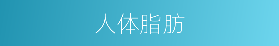 人体脂肪的同义词