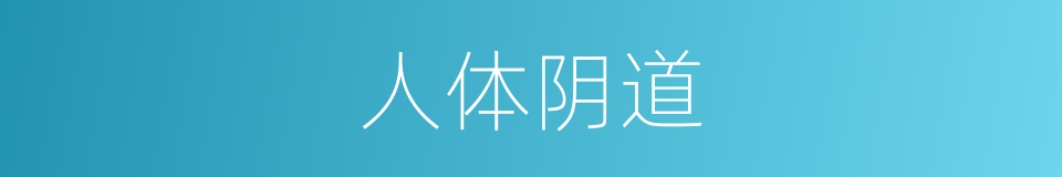 人体阴道的同义词