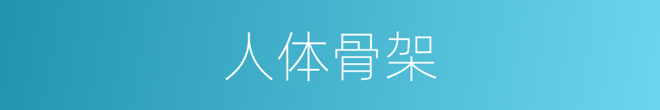 人体骨架的同义词