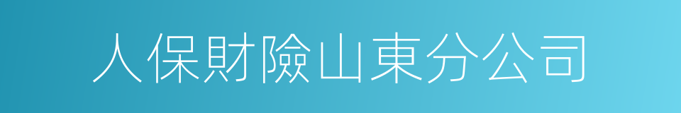 人保財險山東分公司的同義詞