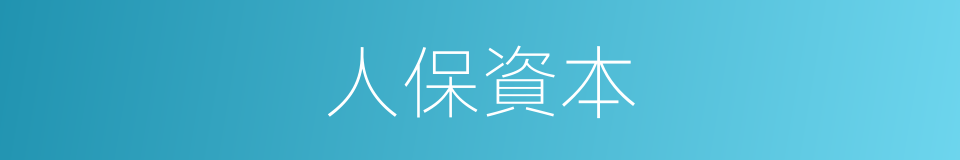 人保資本的同義詞