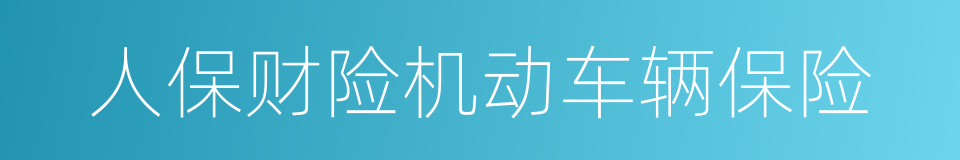人保财险机动车辆保险的同义词