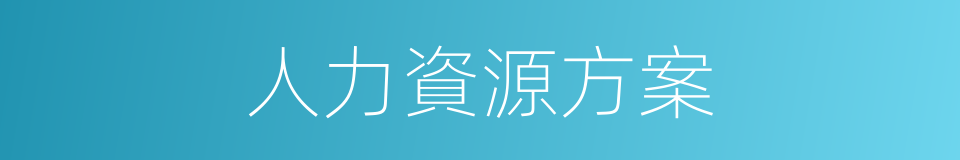 人力資源方案的同義詞