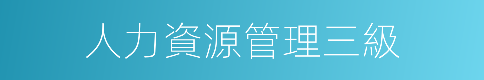 人力資源管理三級的同義詞