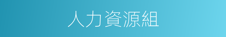 人力資源組的同義詞