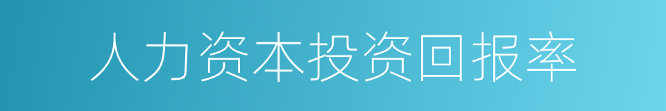 人力资本投资回报率的同义词