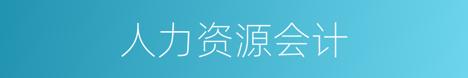人力资源会计的同义词