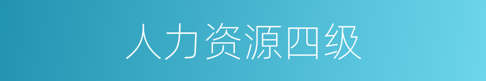 人力资源四级的同义词