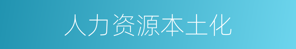 人力资源本土化的同义词