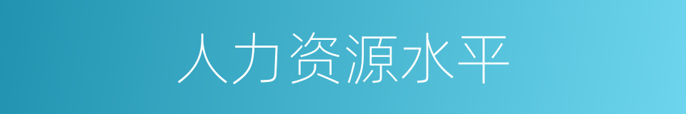 人力资源水平的同义词