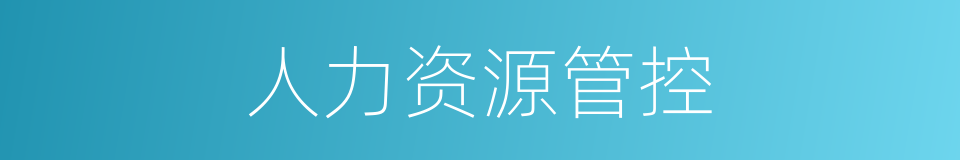 人力资源管控的同义词