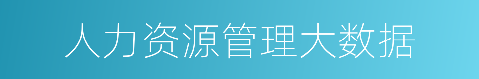 人力资源管理大数据的同义词