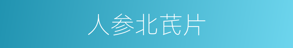 人参北芪片的同义词