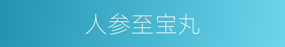 人参至宝丸的同义词