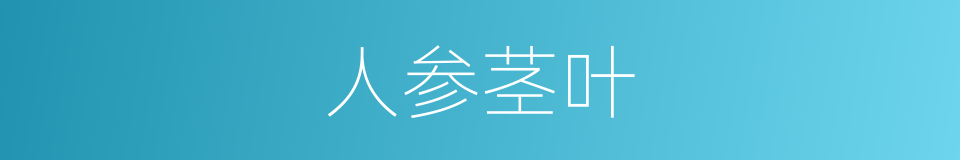 人参茎叶的同义词