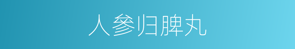 人參归脾丸的同義詞