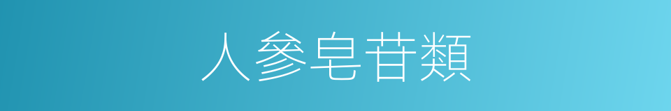 人參皂苷類的同義詞