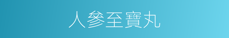 人參至寶丸的同義詞