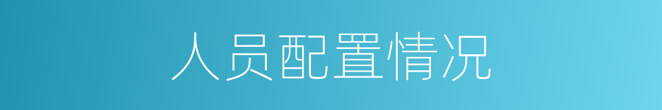 人员配置情况的同义词