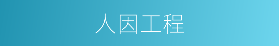 人因工程的同义词