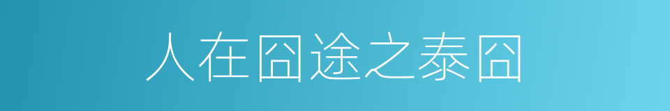 人在囧途之泰囧的同义词