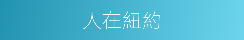 人在紐約的同義詞