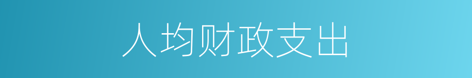 人均财政支出的同义词
