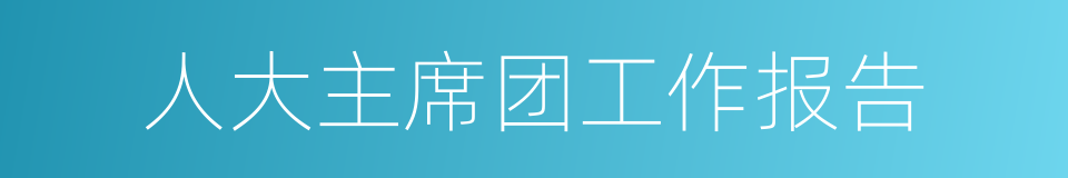 人大主席团工作报告的同义词