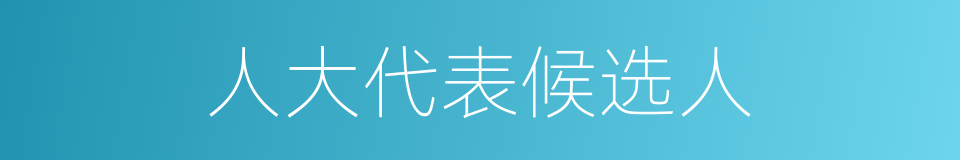 人大代表候选人的同义词