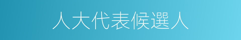 人大代表候選人的同義詞