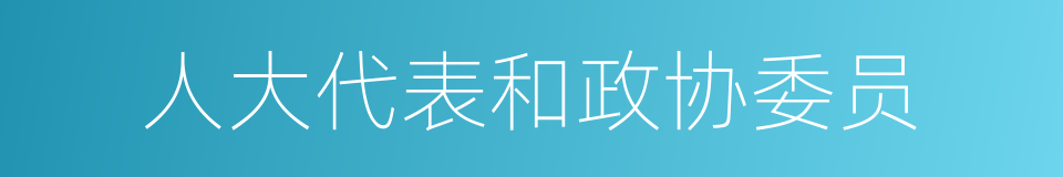 人大代表和政协委员的同义词