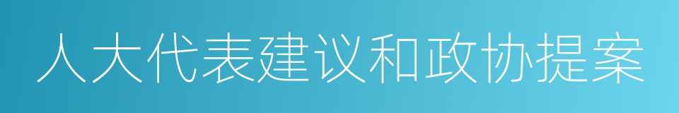 人大代表建议和政协提案的同义词