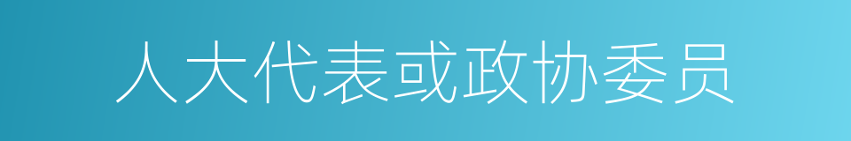 人大代表或政协委员的同义词