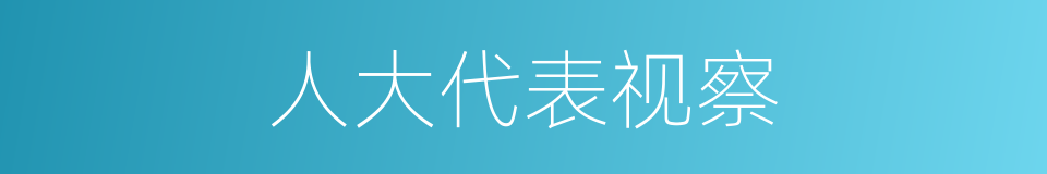 人大代表视察的同义词