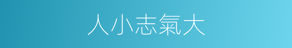 人小志氣大的同義詞