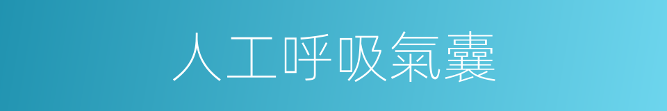 人工呼吸氣囊的同義詞