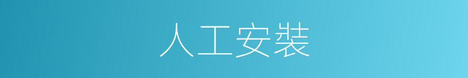 人工安裝的同義詞