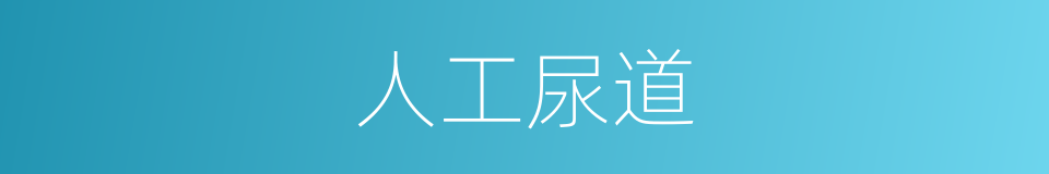 人工尿道的同义词