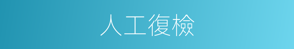 人工復檢的同義詞