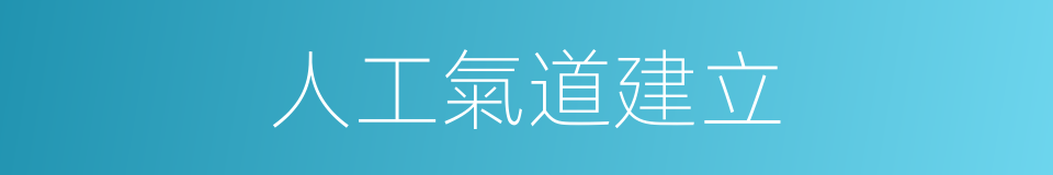 人工氣道建立的同義詞