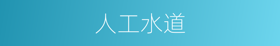 人工水道的同义词