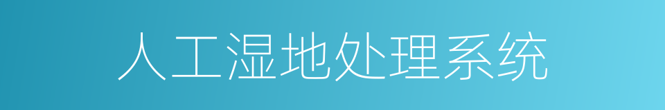 人工湿地处理系统的同义词
