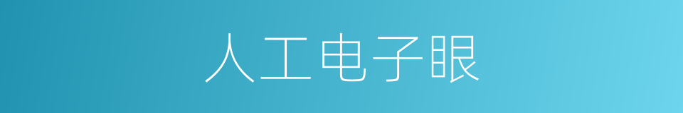 人工电子眼的同义词