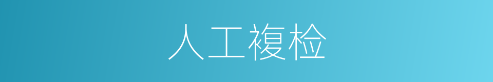 人工複检的同义词