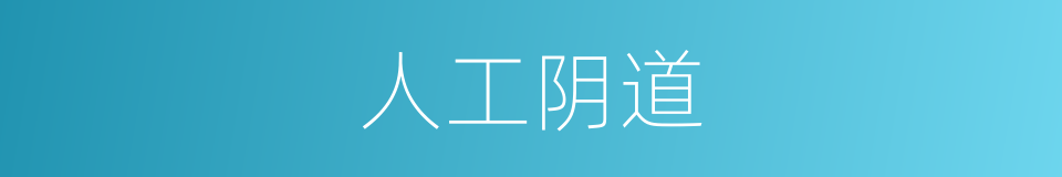 人工阴道的同义词