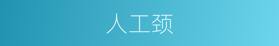 人工颈的同义词